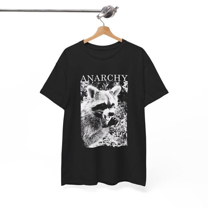 Anarchy Funny Raccoon T-Shirt, Meme Graphic Tee, Meme Raccoon Sweater, Meme Raccoon Gift Top