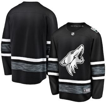 Arizona Coyotes blank black