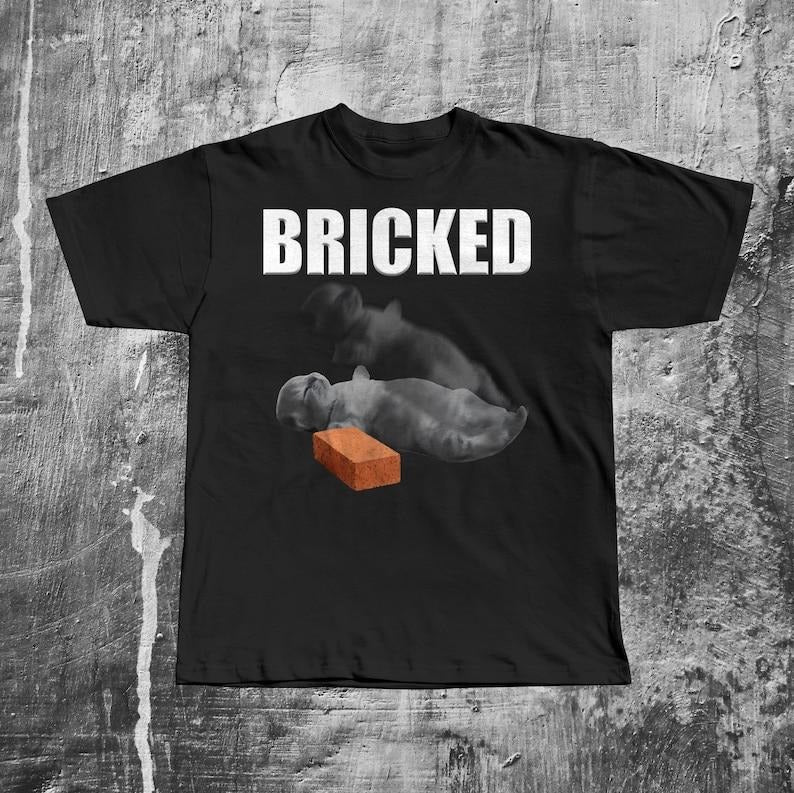 Bricked Funny Cat Knocked Out T-shirt, Cat Meme Shirt, Brainrot Tee, Silly Cats Tshirt, Unhinged Clothes, Weird Tees, Shirts That go Hard, Gift for Mom, Menswear Top, women top, Gift For menswear, summer see tshirt, Classic Top
