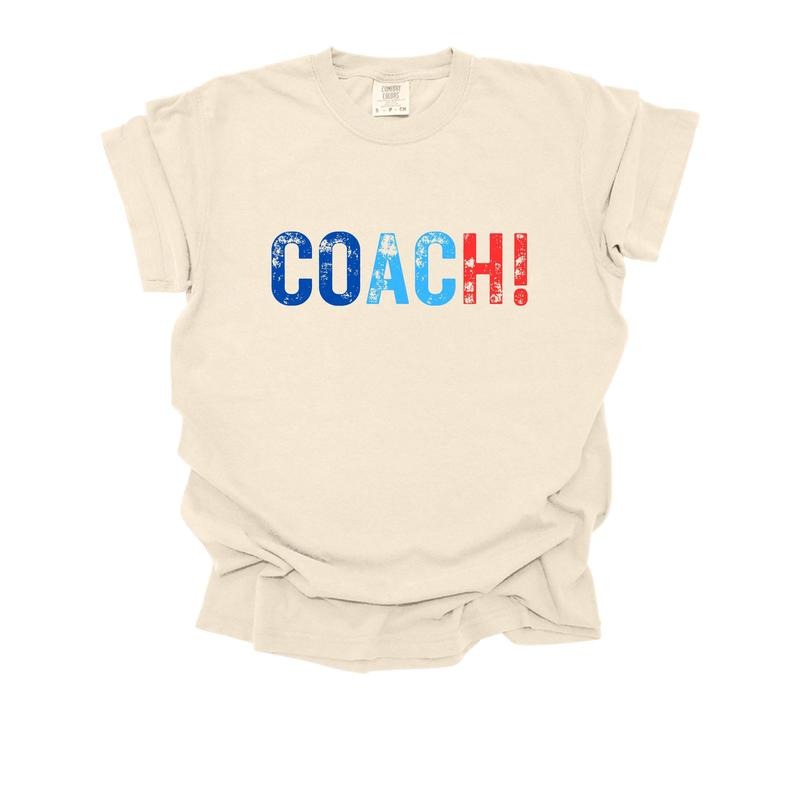 Comfort Colors Project 2025 T-Shirt, Stop Project 2025 Tshirt, Pro Democracy Shirt, Leftist Shirt