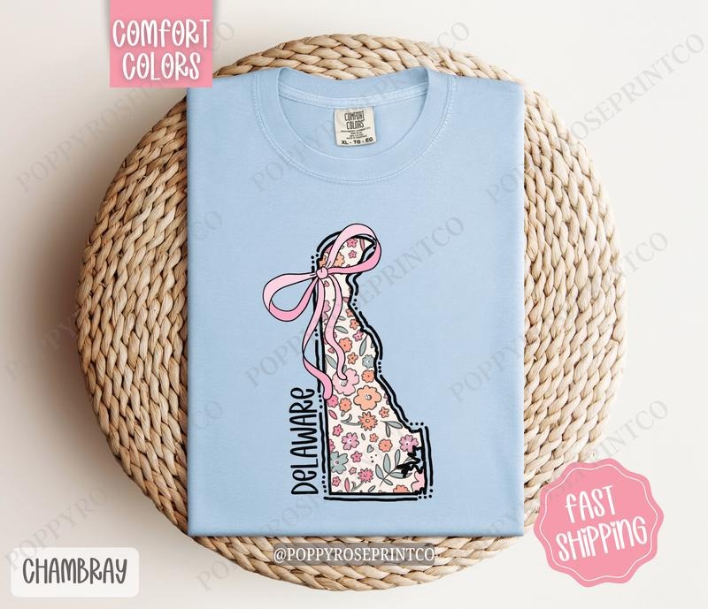 Delaware Comfort Colors State Tshirt, Cute Delaware Shirt, Delaware Tshirt, Delaware Shirt