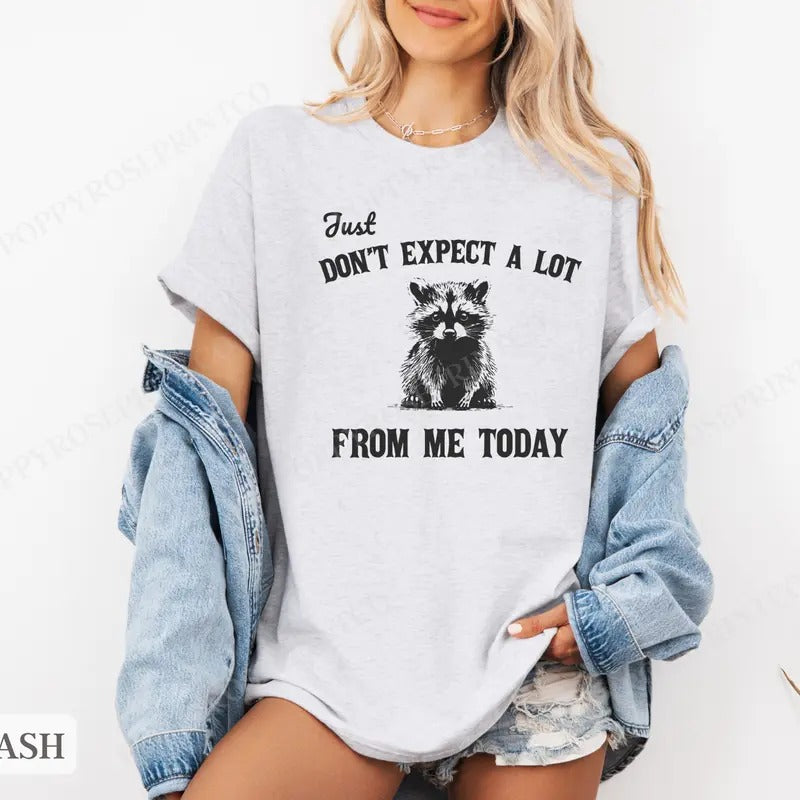 Don't Expect A Lot Today Shirt Bella Canvas, Raccoon Funny Tshirts, Gift for Her, Women's Graphic Tee