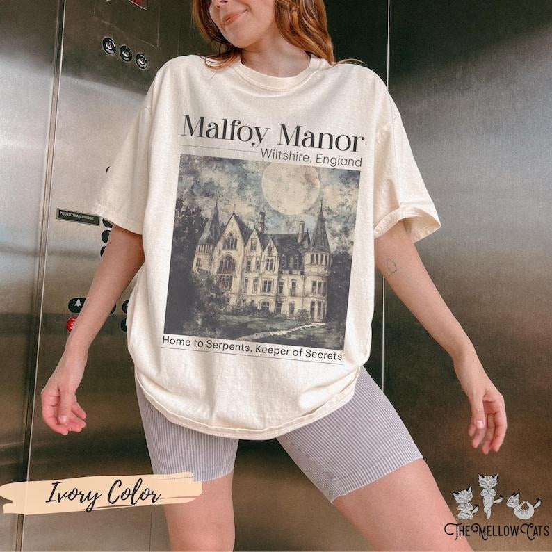 Dramione era Manacled merch Fanfiction s shirt Booktok Bookish merch, Wizard world tee, Dark Academia clothing gift for Readers