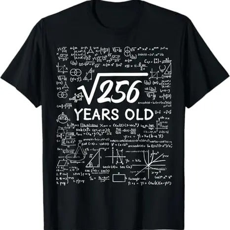Funny Birthday Shirts, Funny Math 16th Birthday T-Shirt - Menswear Top Hoodie, Sweatshirt | WearSparks.com
