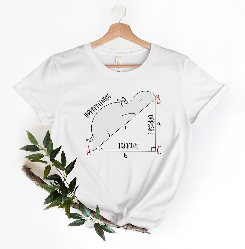 Funny Math T Shirt, Funny Hippopotenuse Shirt, Math Teachers Shirt, Teacher Shirt, Geometry Teacher Gift,Geometry Nerd Gift,Gift For Teacher T-shirt, sweater and Hoodie