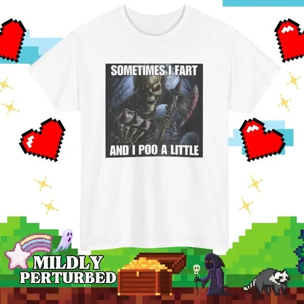 Funny Meme Shirt, Sometimes I Fart And I Poo Little Tee, Gift Unisex T-Shirt