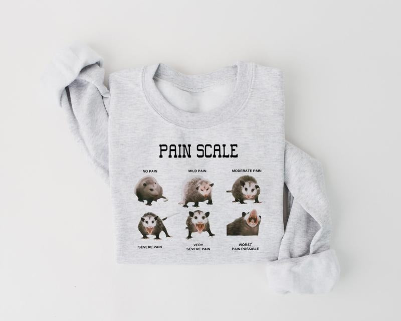 Funny Nurse Sweatshirt, Pain Scale Sweater, Pain Scale Pain Assessment Shirt, Pain Scale Pain Assessment Opossum Trauma Nurse Triage Tee, Nurse Shirt