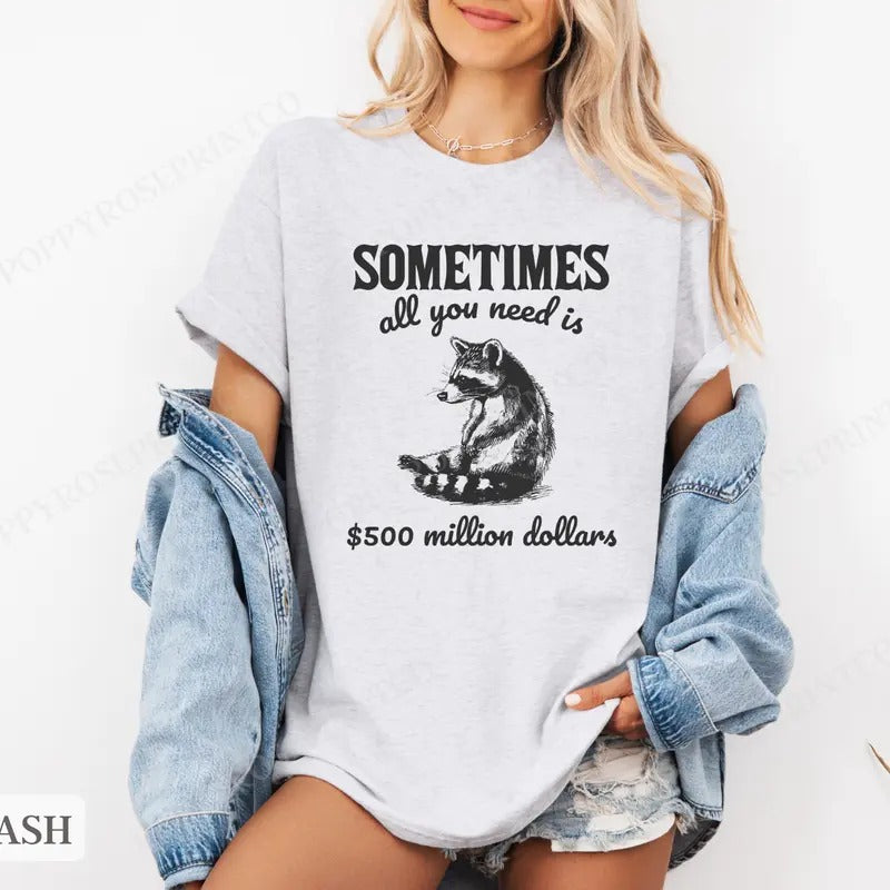 Funny Raccoon Shirt Bella Canvas, Funny Tshirts, Gift for Her, Women's Graphic Tee Hoodie, Sweatshirt | WearSparks.com