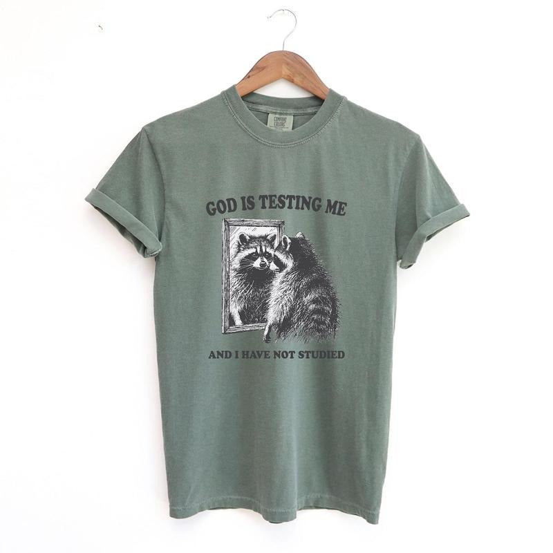 God Is Testing Me, Funny Unisex Tee, Possum T-Shirt, Meme T-Shirt, Trash Panda Shirt, Vintage style Shirt, Raccoon Meme Shirt, Mens Shirt