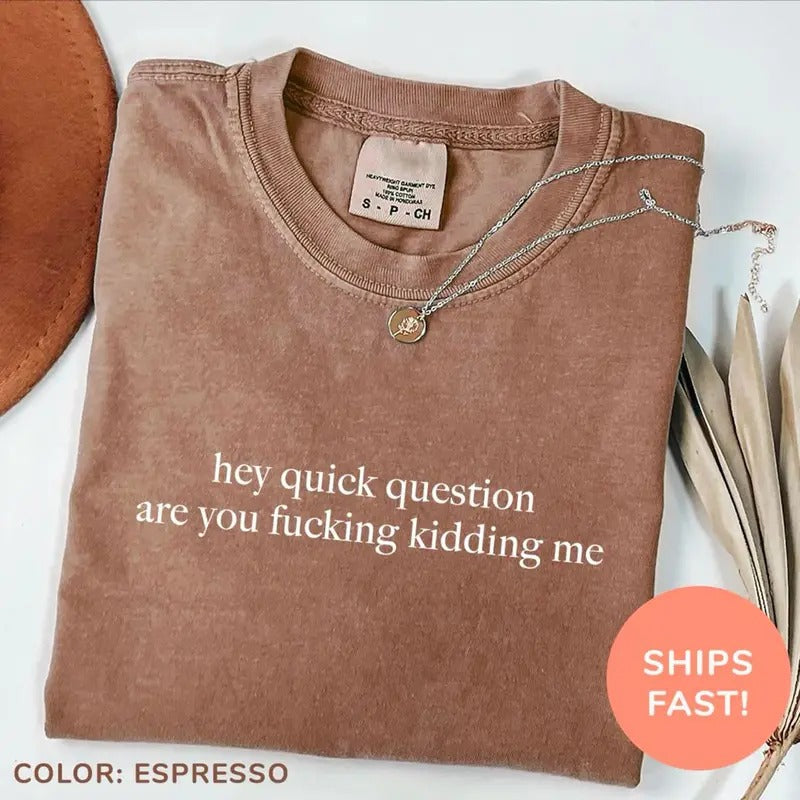 Hey Quick Question Are You Kidding Me Shirt, Funny Humor Sweatshirt, Funny Girls Shirt, Sarcasm T-Shirt, Trendy Shirt for Women, Funny Saying Sweatshirt