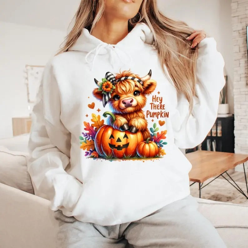 Hey There Pumpkin Hoodie, Fall Hoodie, Pumpkin Hoodie, Autumn Hoodie, Halloween Hoodie, Hoodies For Women, Halloween Gift...