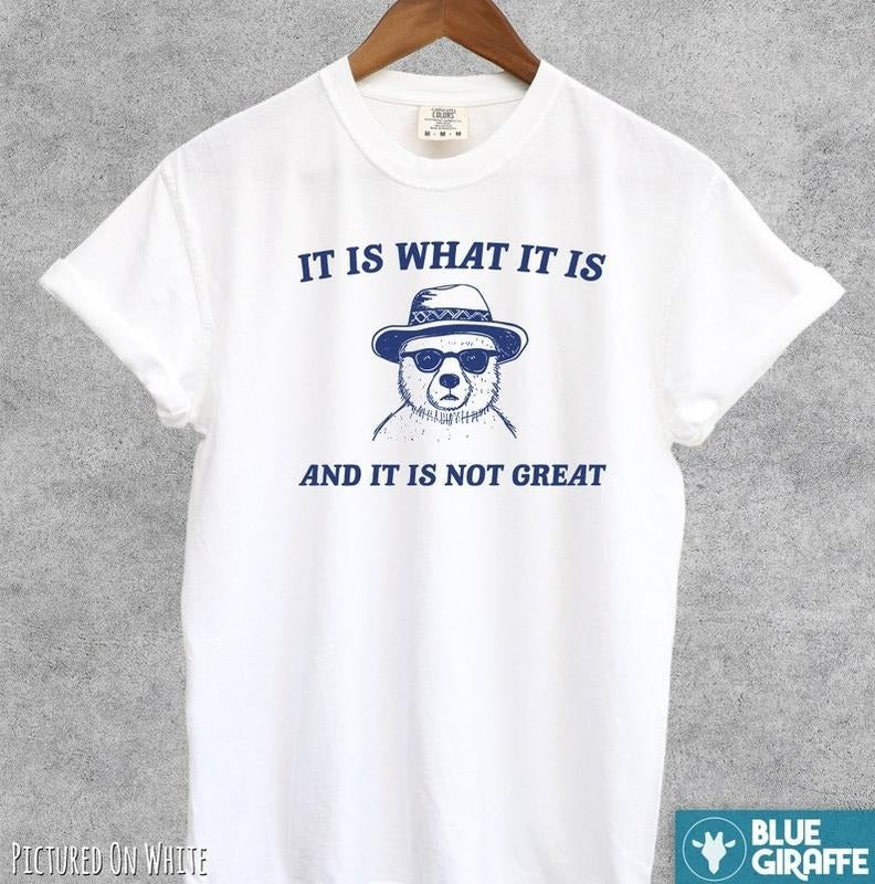 It Is What It Is And It Is Not Great Funny Shirt, Vintage T Shirt, Meme T Shirt