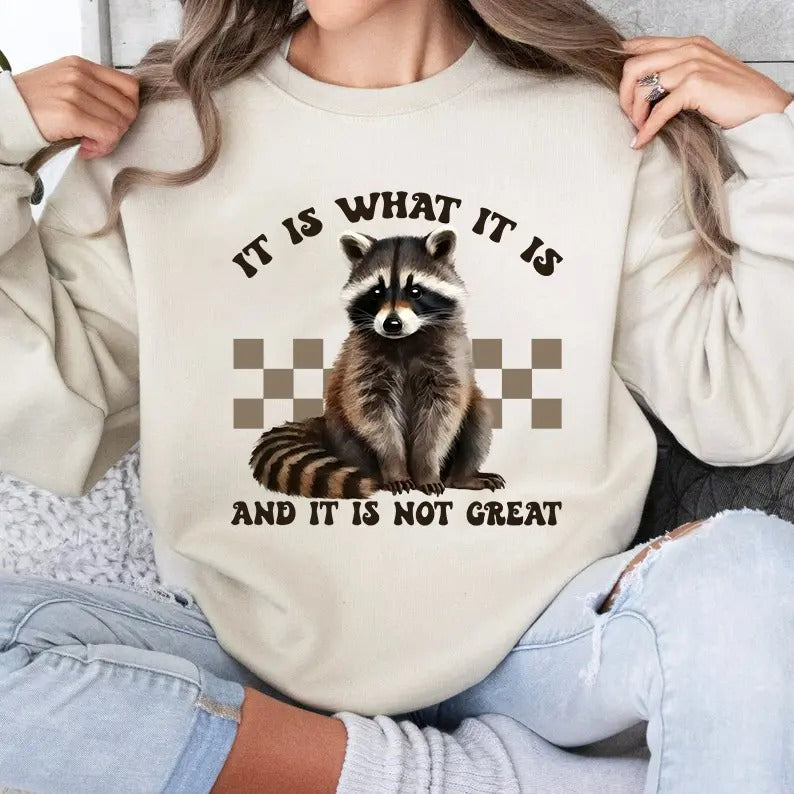 It Is What It Is And It Is not Great Sweatshirt, Vintage Racoon Meme Sweatshirt, Racoon Lover Sweatshirt, Animal Lover,...