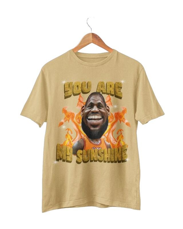 L James sunshine viral T-shirt Sweatshirt Hoodie