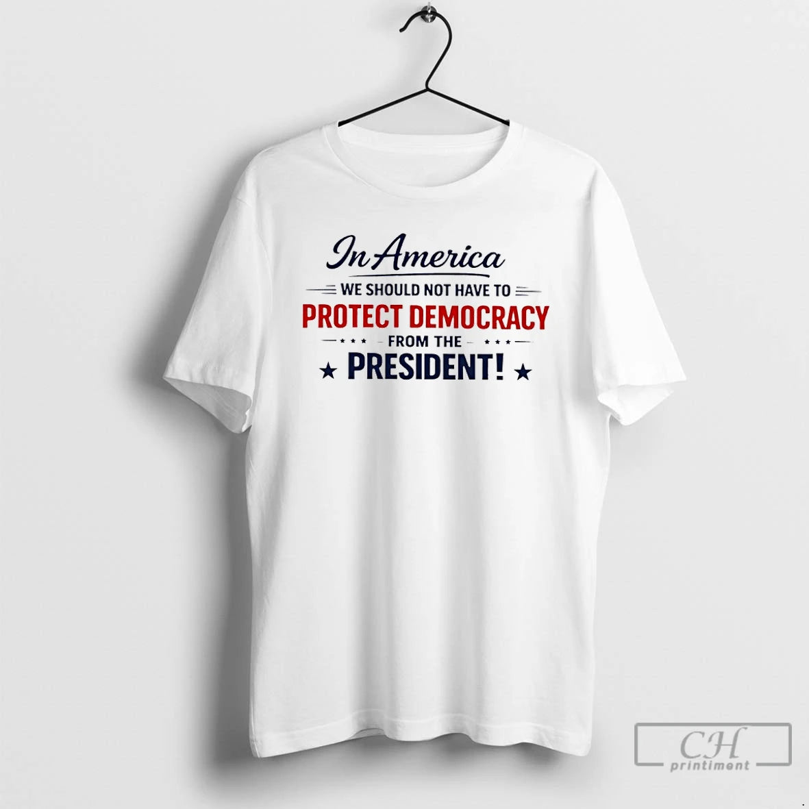 Premium In America We Should Not Have To Protect Democracy From The President 2026