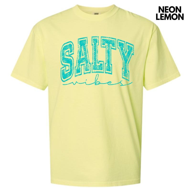 Salty Vibes Comfort Colors T-Shirt 'NLB'