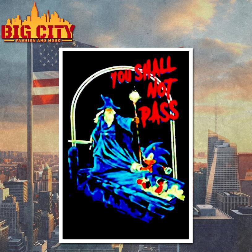 Wizard And Hedgehog You Shall Not Dash Retro Shirt
