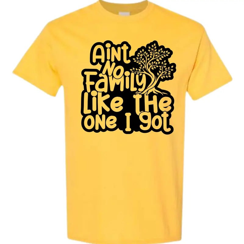 Women's Unisex Size Ain't No Family Like The One I Got T Shirt - This is a completed Tee