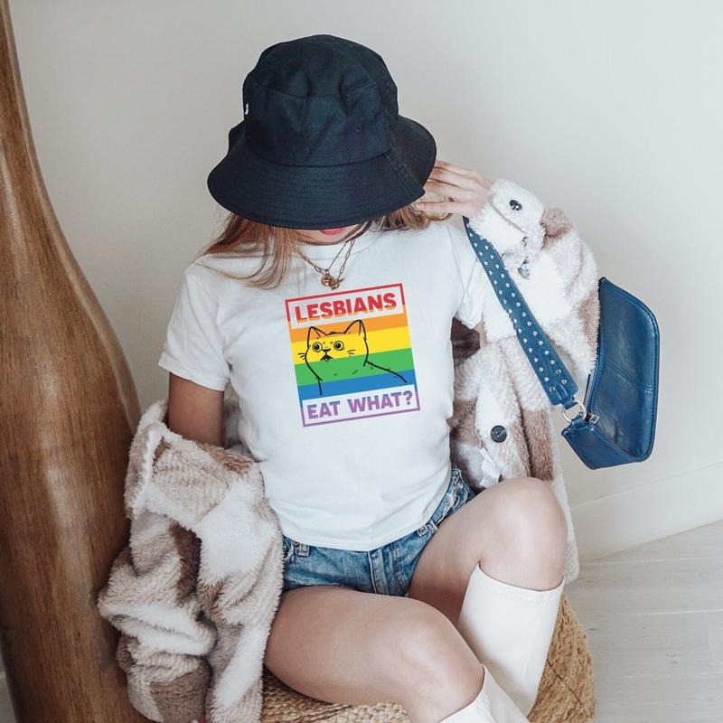 Y2K Baby Tee Clowncore Baby Tee Pride Baby Tee lgbt Queer Shirt Pride Month Shirt Bisexual Pride Crop Top Pansexual Baby Tee Dark Coquette