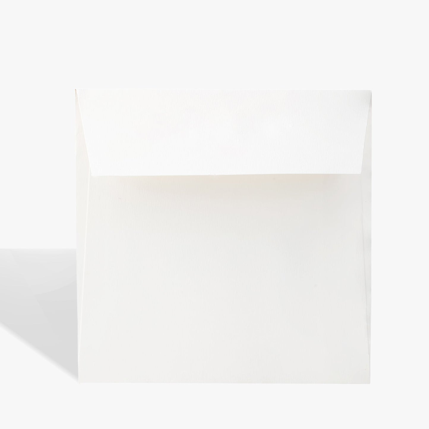 Holiday Greeting Card