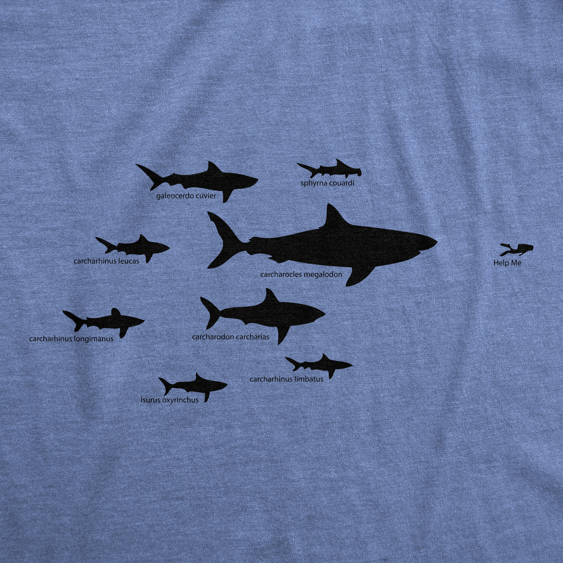 Shark Hierarchy Youth T Shirt Hoodie, Sweatshirt | WearSparks.com (Image 2)