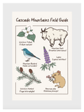 Cascade Mountains Field Guide Post Card
