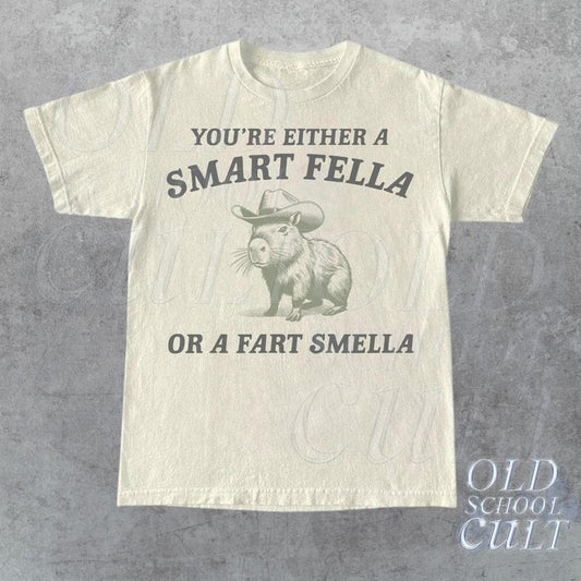 Are You A Smart Fella Or Fart Smella Vintage Style Shirt, Retro Cartoon T Shirt, Weird T Shirt, Meme T Shirt, Cabybara Shirt, Relaxed  T-shirt, sweater and Hoodie