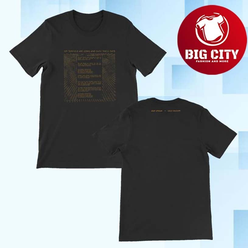 Asaf Avidan Lyrics Gold Shadow Two Sided Shirt