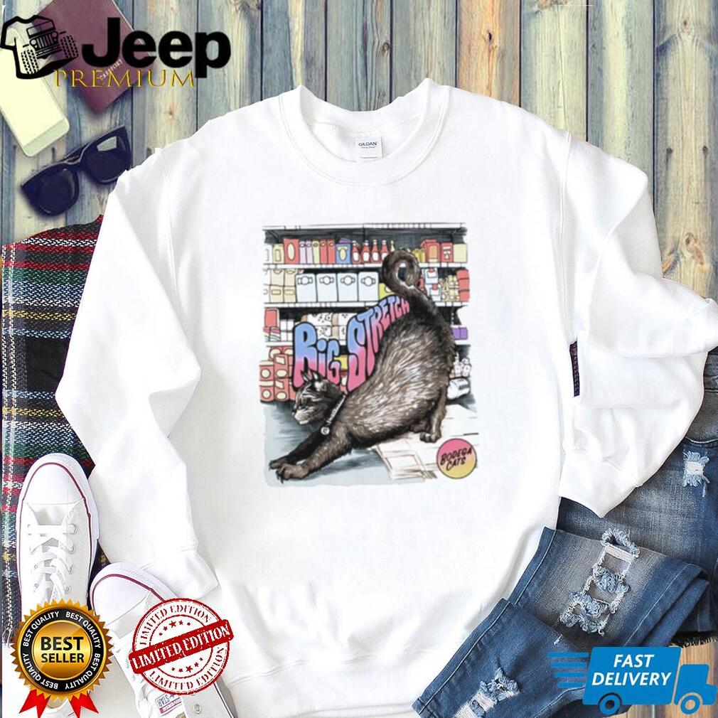 Big Stretch Bodega Cats cat shirt