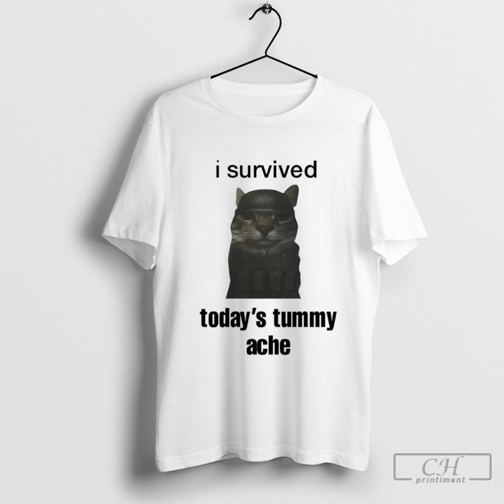 Cat I Survived Todays Tummy Ache Shirt Sweater