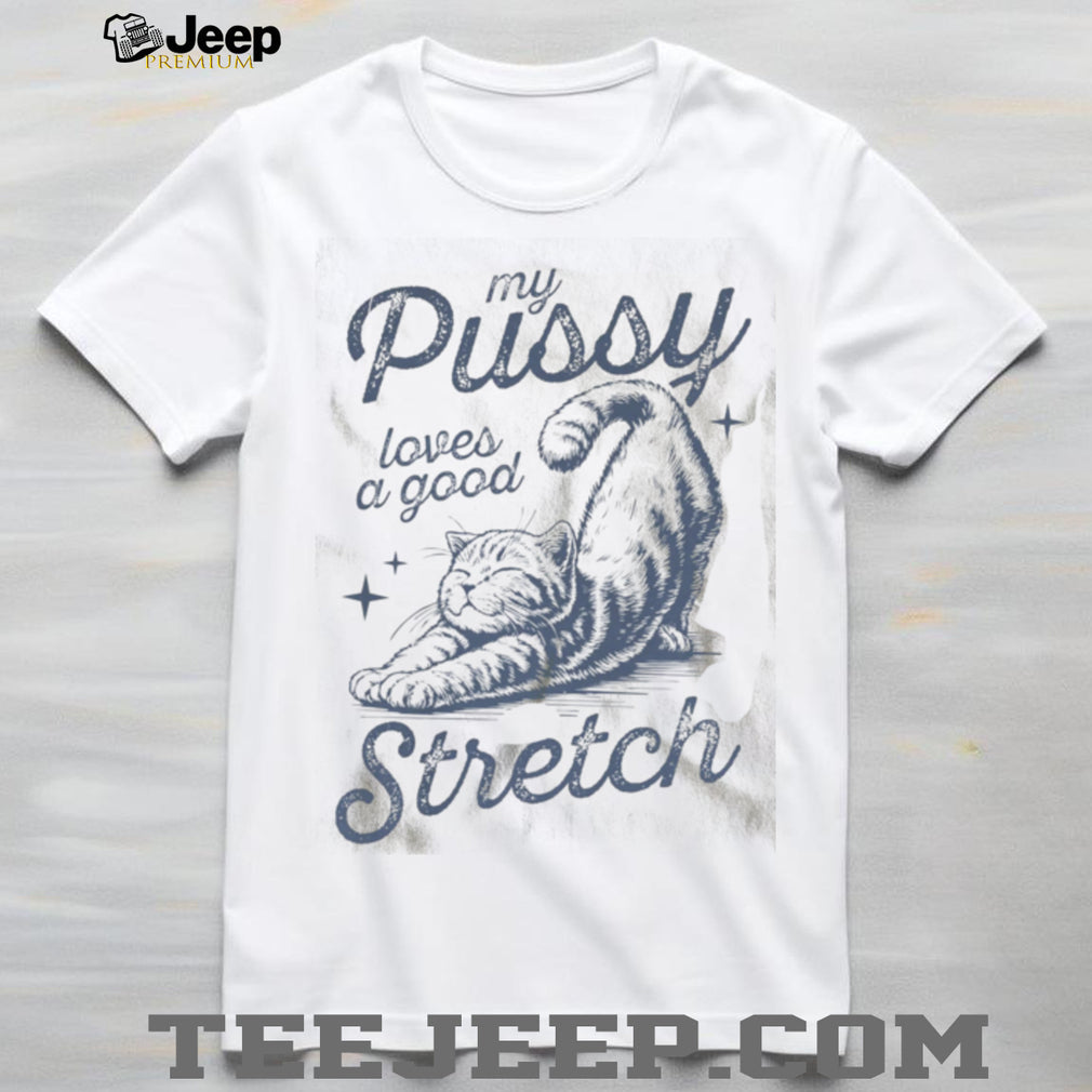 Cat Stretching Funny Graphic Comfort Colors T Shirt