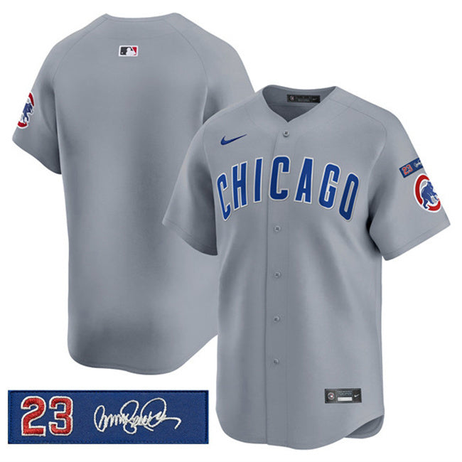 Chicago Cubs Blank Gray 'Ryne Sandberg Tribute' Vapor Limited V3 Stitched Baseball