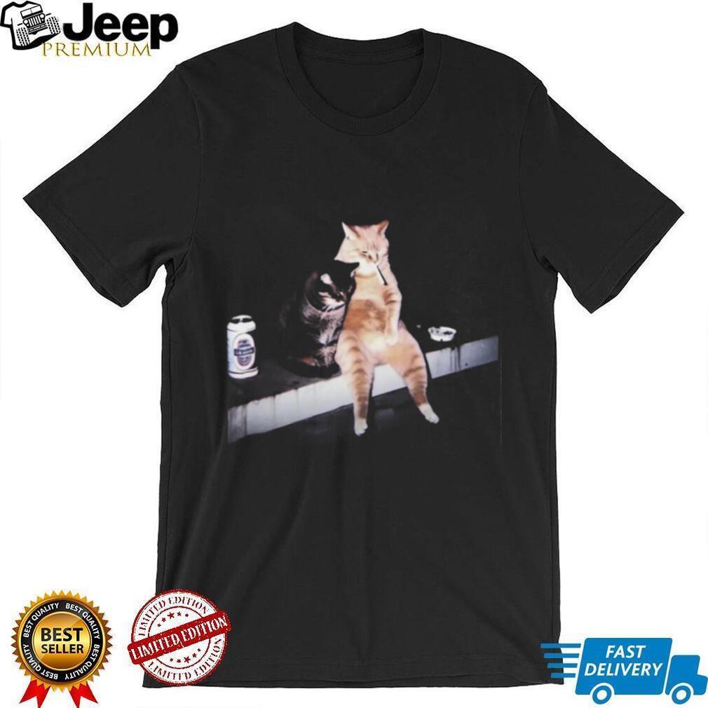 Chill Cats Smoking And Drinking Beer Funny Retro Comfort Colors T Shirt