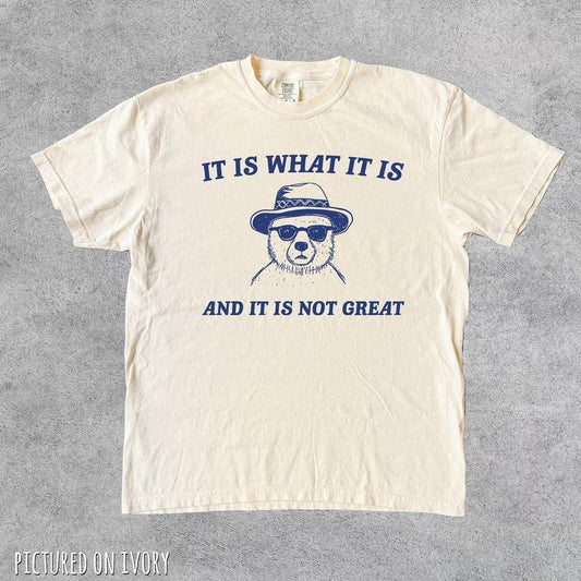Comfort Colors It Is What It Is And It Is Not Great Funny Shirt, Vintage T-Shirt, Meme Shirt, Funny Gifts for Friends, Retro Graphic Tee