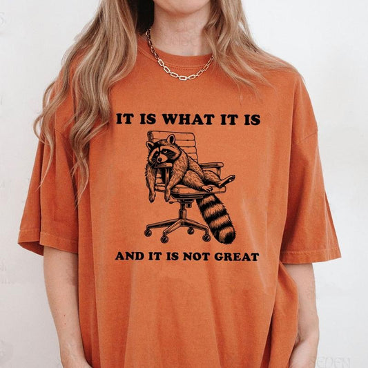 Comfort Colors It Is What It Is And It Is Not Great Shirt, Vintage Funny Raccoon Shirt, Sarcastic T-Shirt, Raccoon Gifts, Trash Panda Shirt