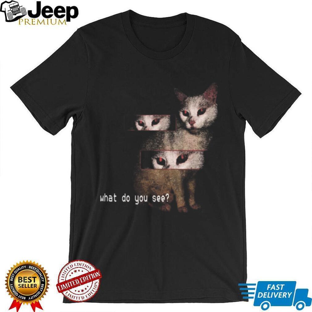 Creepy Red Eyed Cat Glitch Aesthetic What Do You See Surreal T Shirt