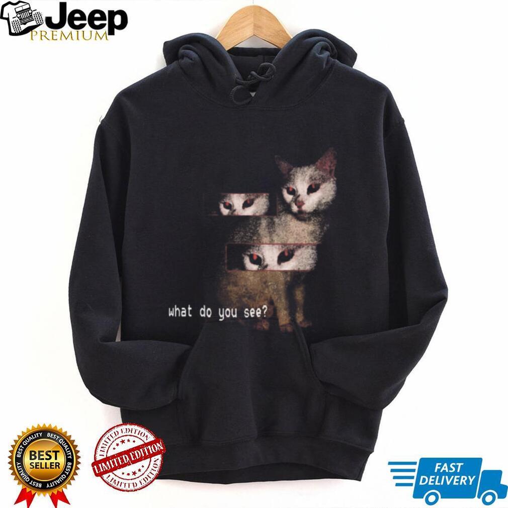 Creepy Red Eyed Cat Glitch Aesthetic What Do You See Surreal T Shirt