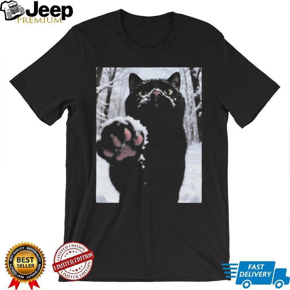 Cute Black Cat Snow Paw Winter Pet Lover Aesthetic Graphic Unisex T Shirt