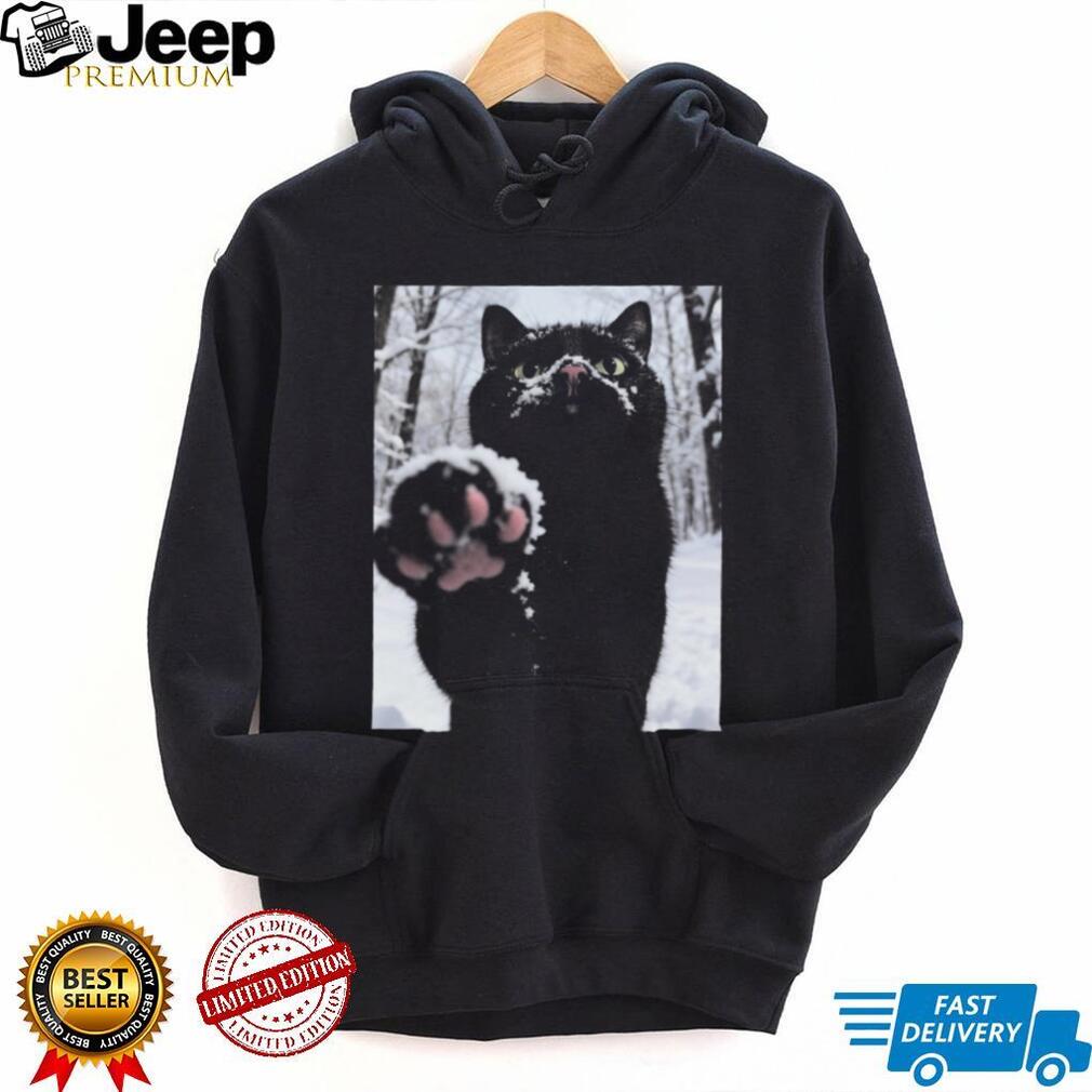 Cute Black Cat Snow Paw Winter Pet Lover Aesthetic Graphic Unisex T Shirt