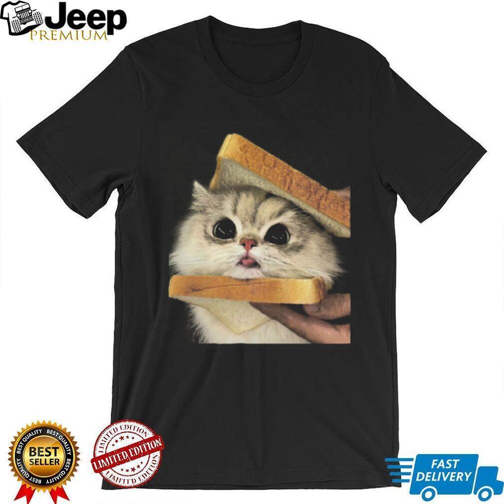 Cute Fluffy Cat Holding Bread Sandwich Meme Funny Graphic T Shirt