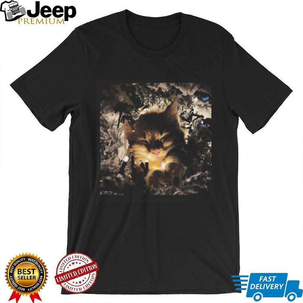 Cute Fluffy Kitten Sleeping in Christmas Lights Cozy Festive T Shirt