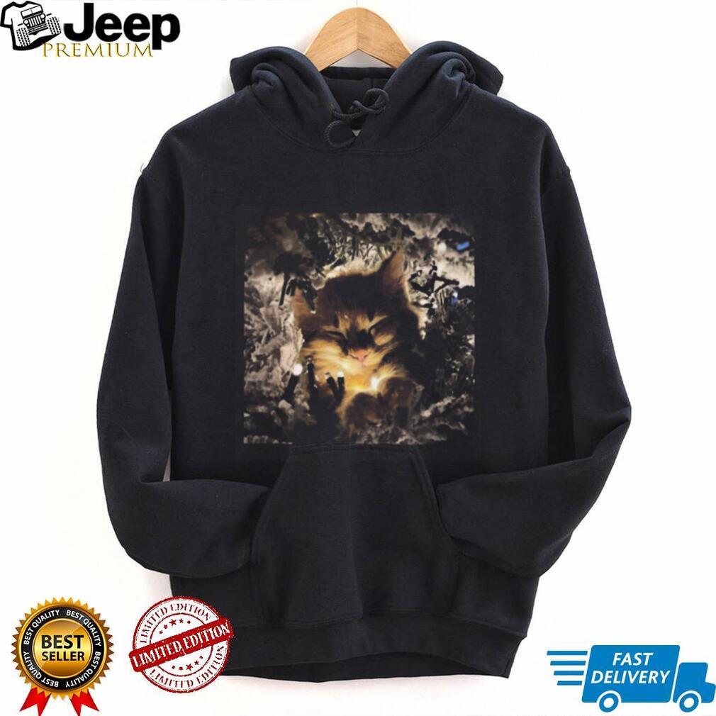 Cute Fluffy Kitten Sleeping in Christmas Lights Cozy Festive T Shirt