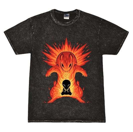 Cyndaquil and Typhlosion Pokemon Shirt, Pokemon Gifts for Men , pokemon Funny, cute pokemon, Anime Tee Womenswear Top Cotton