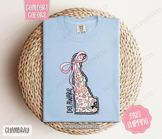Delaware Comfort Colors State Tshirt, Cute Delaware Shirt, Delaware Tshirt, Delaware Shirt