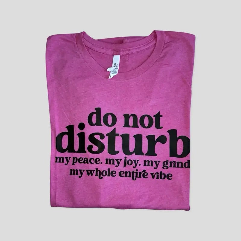 Do not disturb - My whole Entire Vibe t-shirt - Womenswear casual unisex T-shirt - funny graphic tees - women's clothing