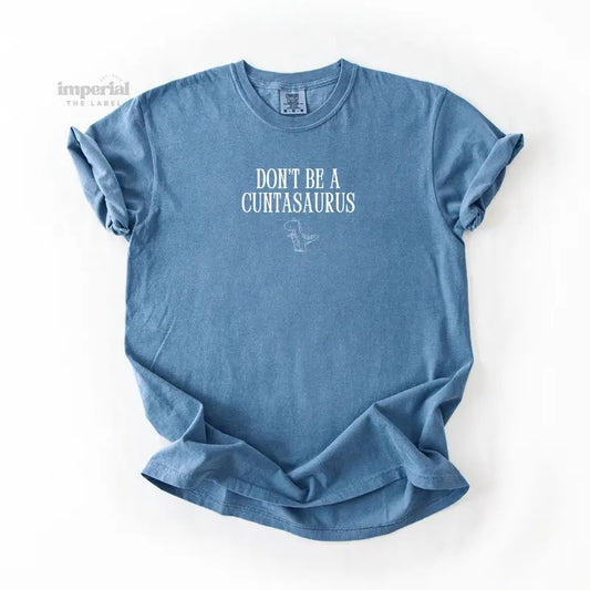Don't Be A Cuntasaurus Comfort Colors T-Shirt, Oversized Vintage-Washed Tee, Soft Garment-Dyed Cotton, Aesthetic Streetwear, Casual Everyday Outfit