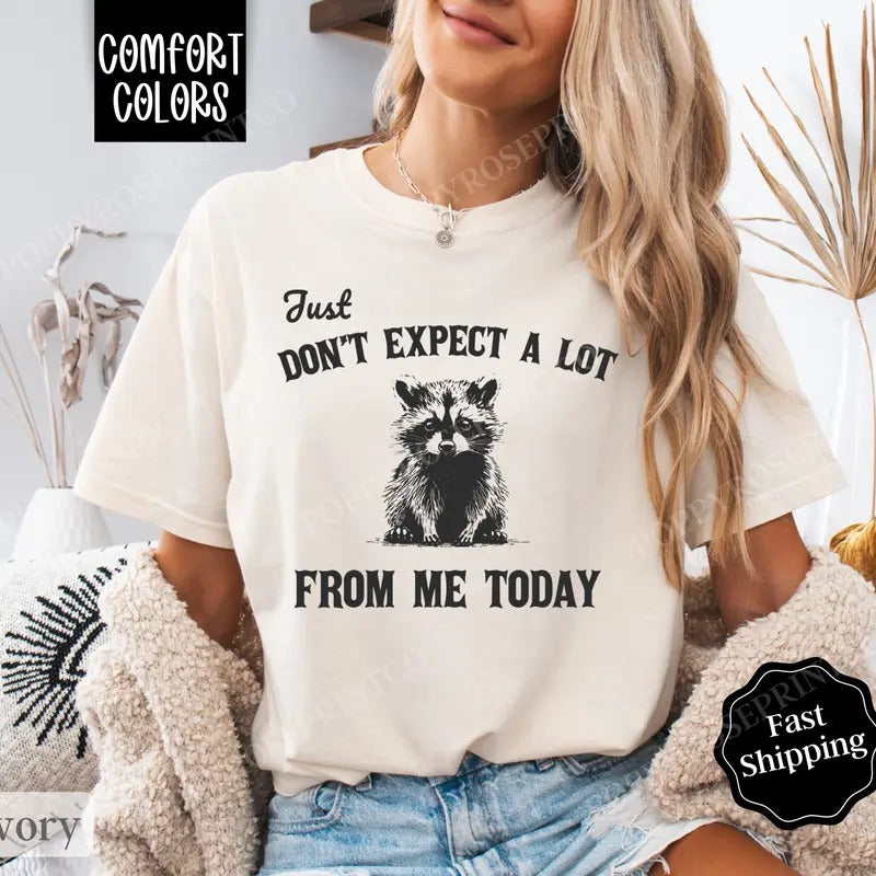 Don't Expect A lot Today Shirt Comfort Colors, Retro Funny TShirts, Women's Oversized Graphic Tee