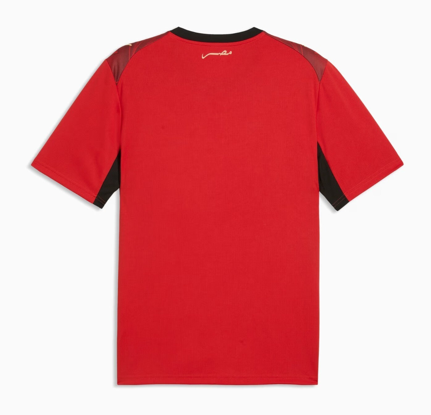 Egypt 2026 World Cup Home Style 1