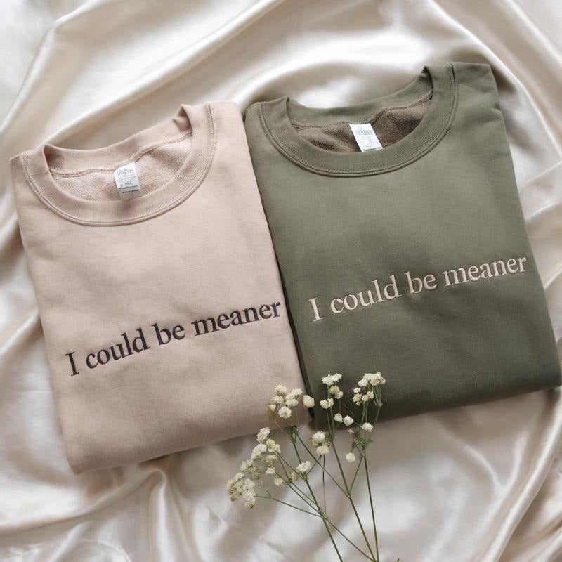 Embroidered I Could Be Meaner Sweatshirt, Spicy Attitude Sweater, Confident Crewneck, Funny Parent Shirt, Mean Friend Shirt