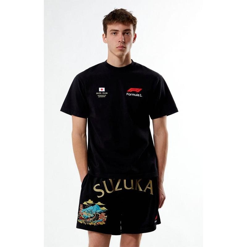 Formula 1 Men's x PacSun Suzuka Japan Touge T-Shirt - Multicolor
